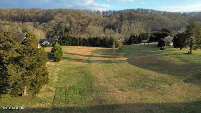 145 Old Farm Rd, Lenoir City TN, 37771 land for sale