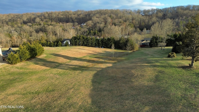 Listing photo 3 for 145 Old Farm Rd, Lenoir City TN 37771