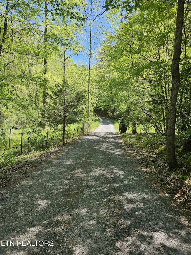 view of road