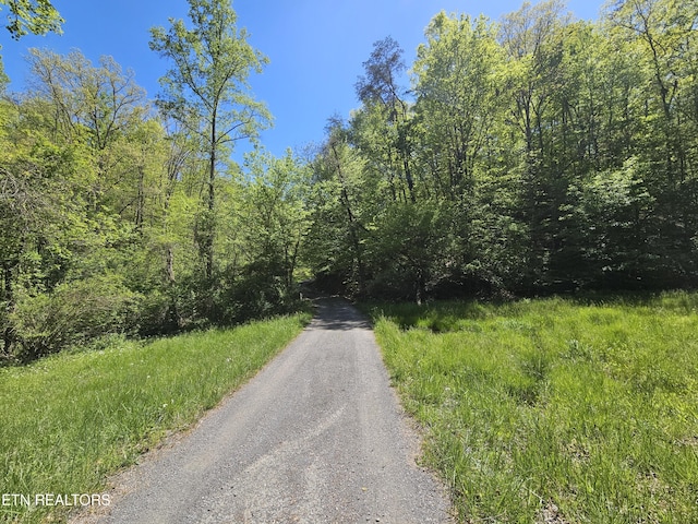 view of road