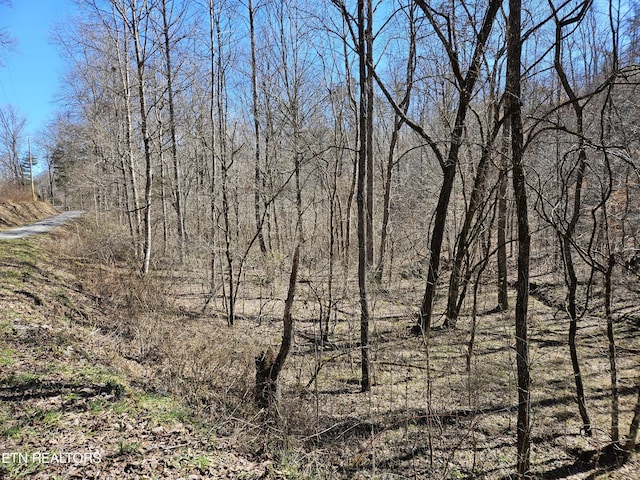 view of landscape