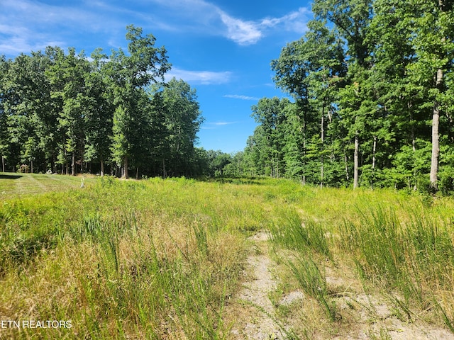 Listing photo 3 for LOT602 Stonecrest Ave, Crossville TN 38571