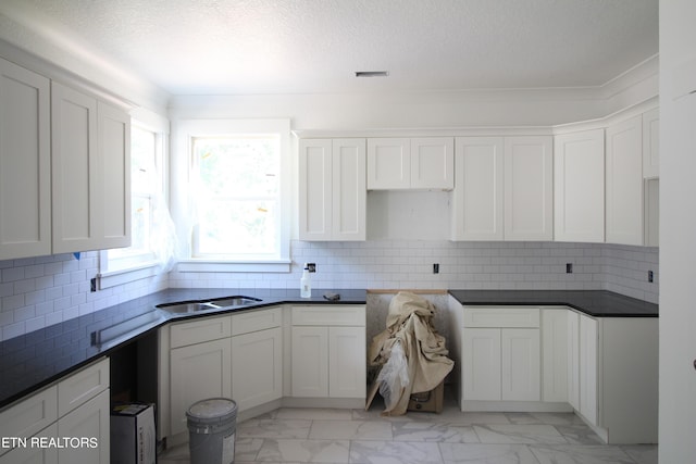 kitchen featuring backsplash, white cabinets, and sink