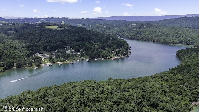 aerial view featuring a water and mountain view