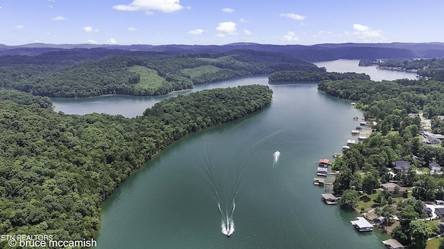 drone / aerial view featuring a water and mountain view