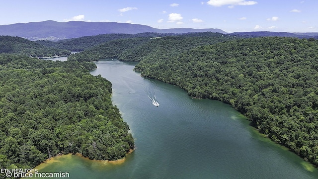 drone / aerial view with a water and mountain view