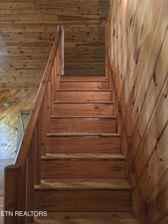 stairway featuring wooden ceiling and wood walls