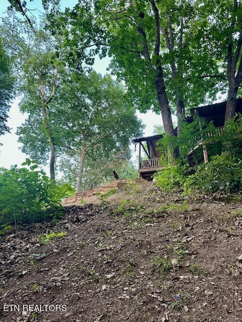 view of yard with a wooden deck