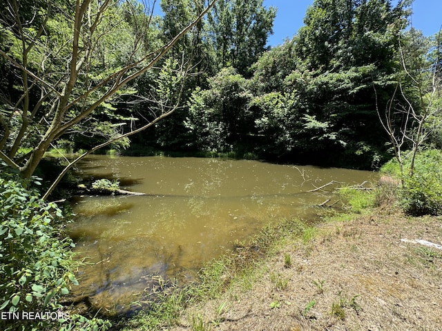 view of nature with a water view