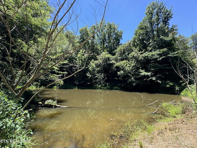 view of nature featuring a water view