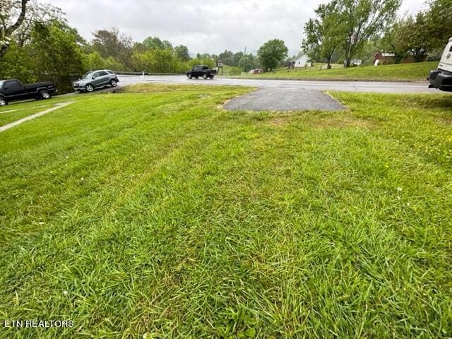 696 Forge Ridge Rd, Harrogate, TN 37752 - view of green lawn