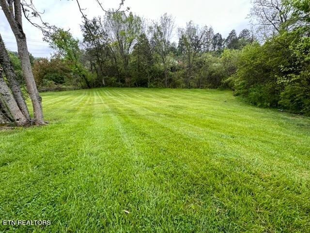 696 Forge Ridge Rd, Harrogate, TN 37752 - view of green lawn