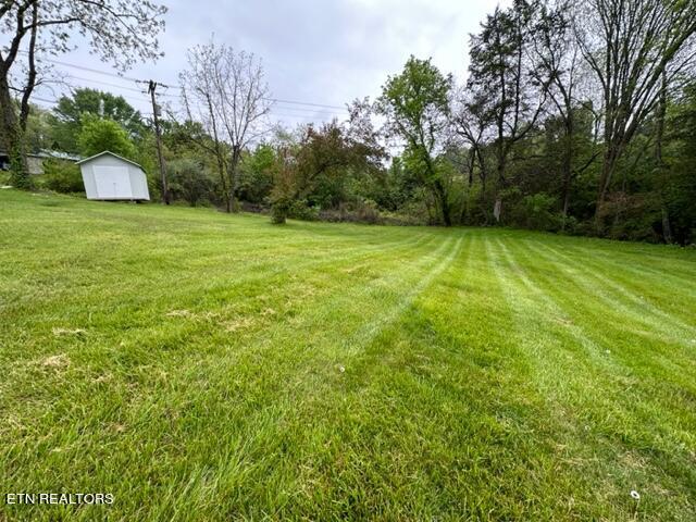 696 Forge Ridge Rd, Harrogate, TN 37752 - view of green lawn featuring a storage shed