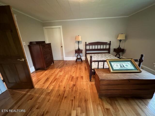 bedroom with light hardwood / wood-style flooring and ornamental molding