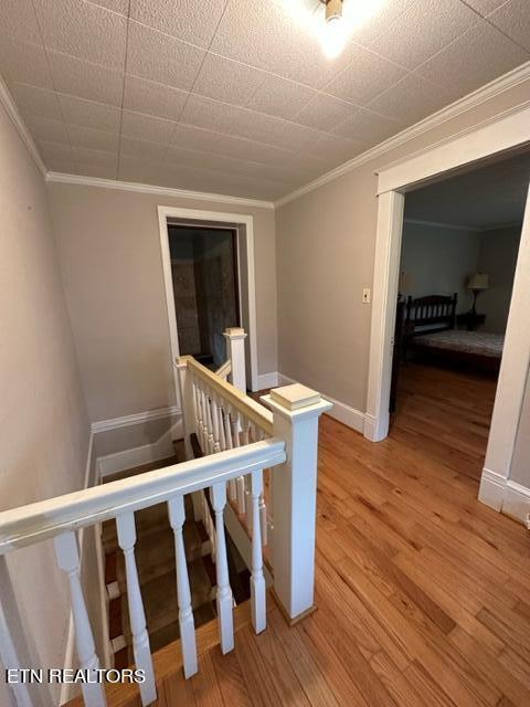 696 Forge Ridge Rd, Harrogate, TN 37752 - staircase featuring ornamental molding and wood finished floors