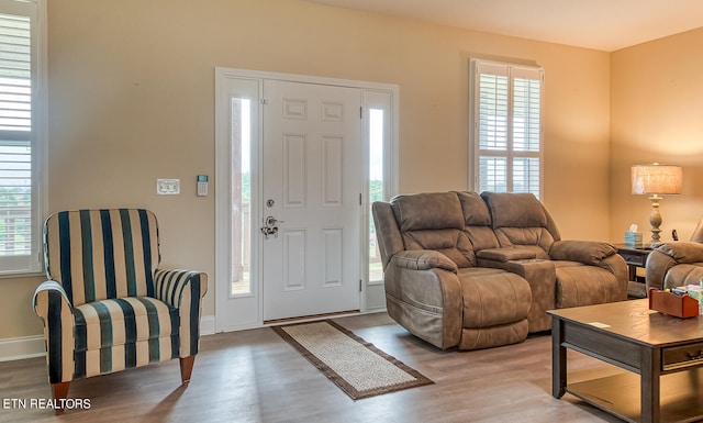 entrance foyer featuring light hardwood / wood-style flooring