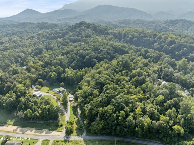 birds eye view of property featuring a mountain view