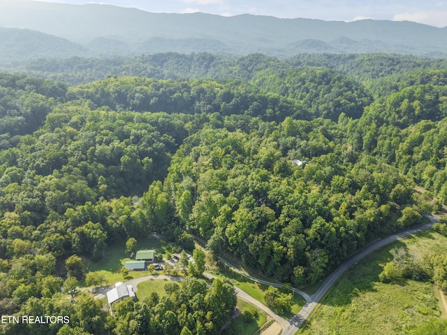 bird's eye view with a mountain view