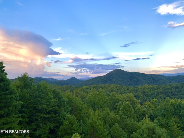 property view of mountains