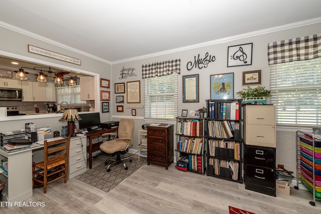 office with light hardwood / wood-style flooring, a wealth of natural light, and crown molding