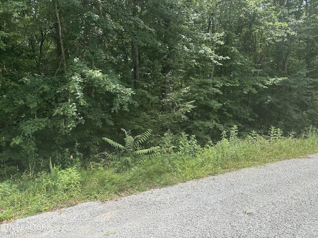 718 Taopi Ln, Crossville TN, 38572 land for sale