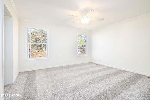 carpeted spare room with ceiling fan, plenty of natural light, and ornamental molding