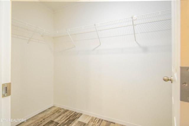 walk in closet featuring wood-type flooring