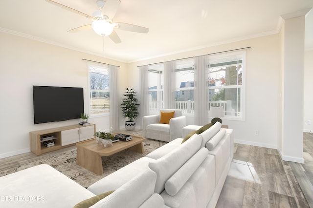 living room featuring ceiling fan, crown molding, and light wood-type flooring