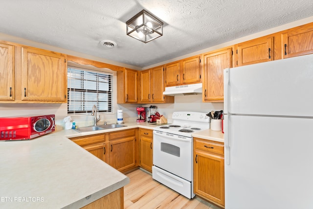 kitchen featuring light wood-type flooring, a textured ceiling, white appliances, and sink