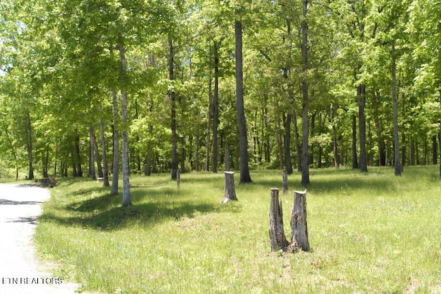 6 War Eagle Cir, Crossville, TN 38572 - photo 3