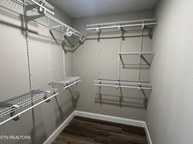 spacious closet featuring dark wood-type flooring