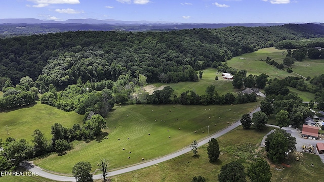 bird's eye view featuring a mountain view and a view of trees