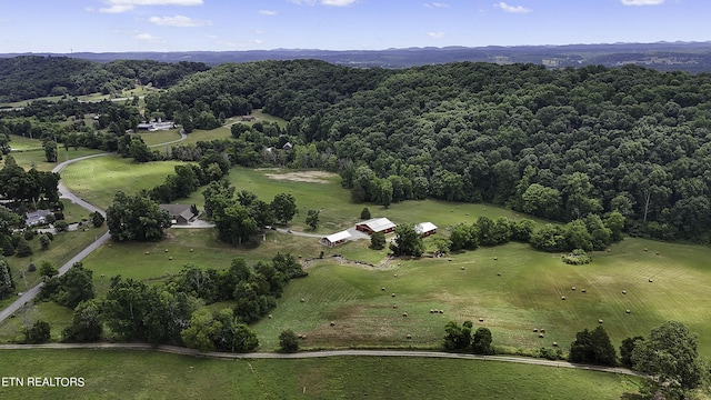 aerial view with a forest view