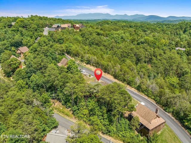 birds eye view of property with a mountain view