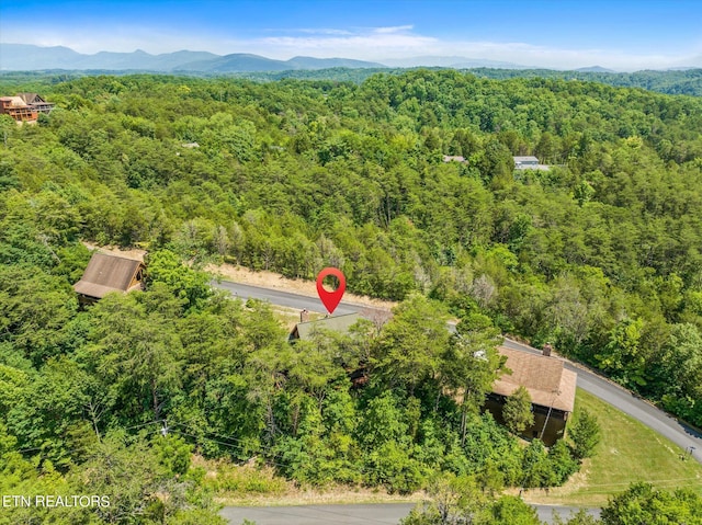 bird's eye view with a mountain view