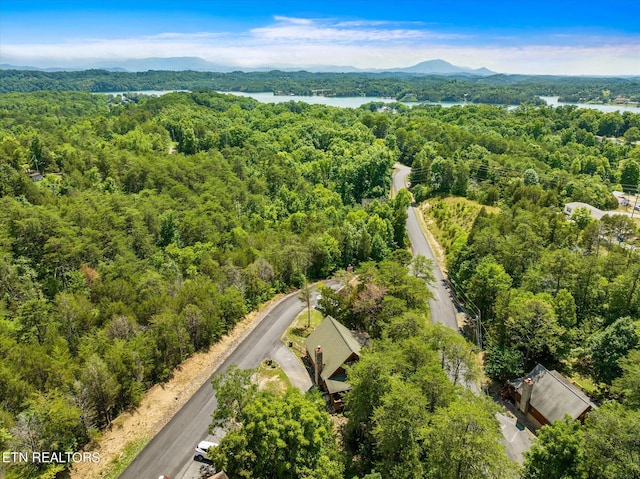 birds eye view of property with a water and mountain view