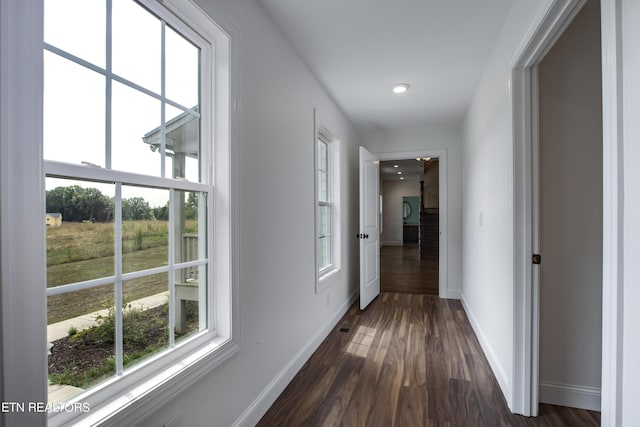 hallway featuring a wealth of natural light and dark hardwood / wood-style flooring