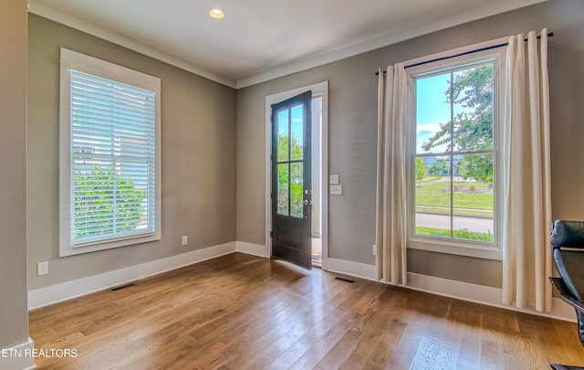 doorway featuring light hardwood / wood-style floors and a healthy amount of sunlight