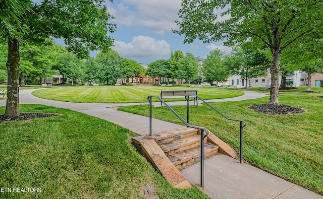 view of property's community with a yard