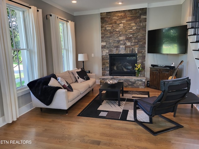 living room with a stone fireplace and wood-type flooring