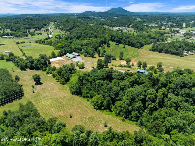 aerial view with a mountain view and a rural view