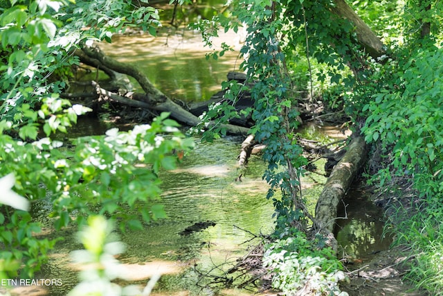 view of landscape featuring a water view