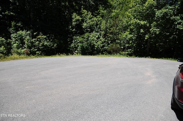 Wolfe Run Ln, Caryville TN, 37714 land for sale