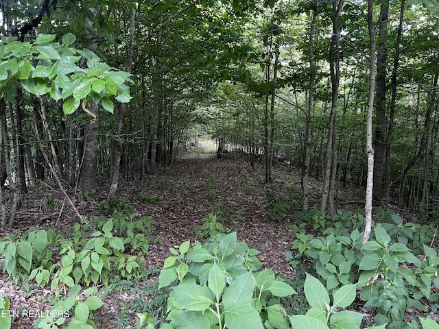 Listing photo 3 for LOT626 Chimney Rock Rd, New Tazewell TN 37825