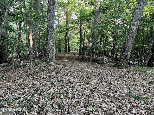 Listing photo 2 for LOT626 Chimney Rock Rd, New Tazewell TN 37825