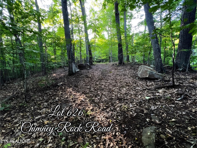 LOT626 Chimney Rock Rd, New Tazewell TN, 37825 land for sale