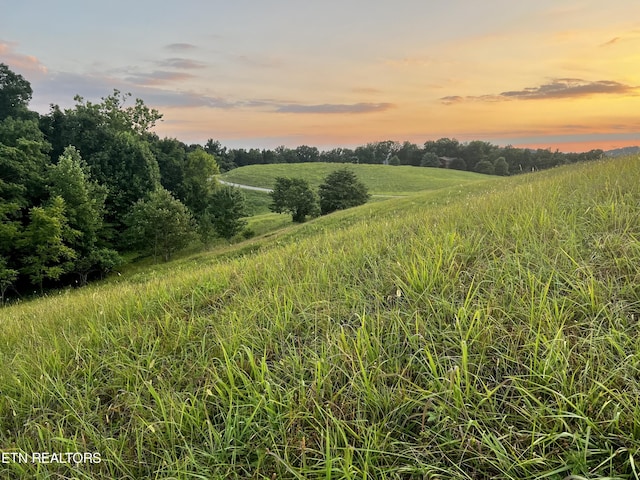 LOT146 Tanzanite Trl, New Tazewell TN, 37825 land for sale