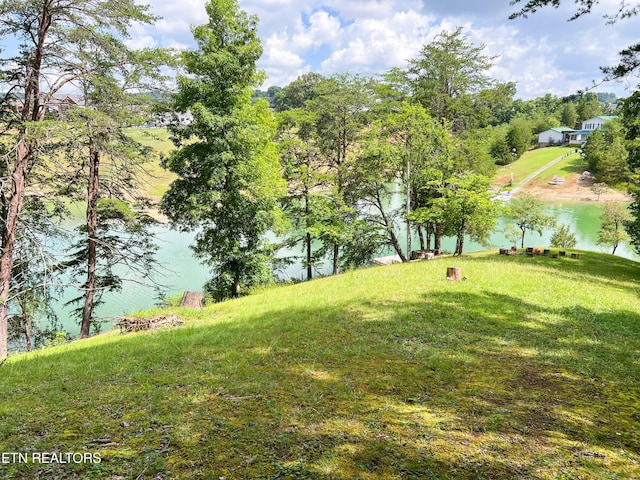 view of yard with a water view