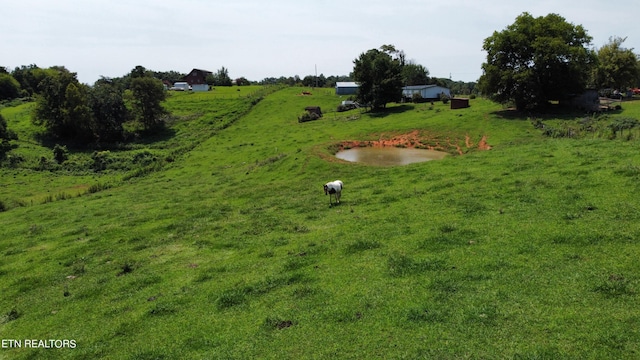 view of yard featuring a rural view