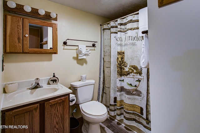 bathroom featuring toilet, vanity, and curtained shower